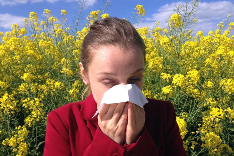 Urlaub für Allergiker